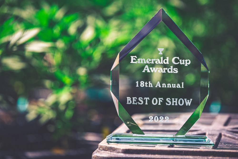 Emerlad cup