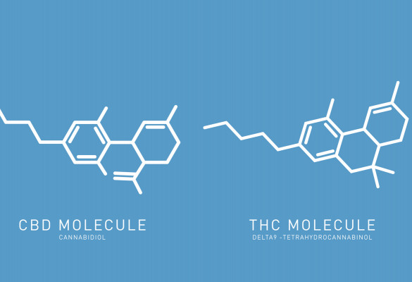 cbd molecule