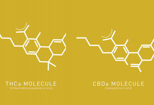 CBDa THCa molecule