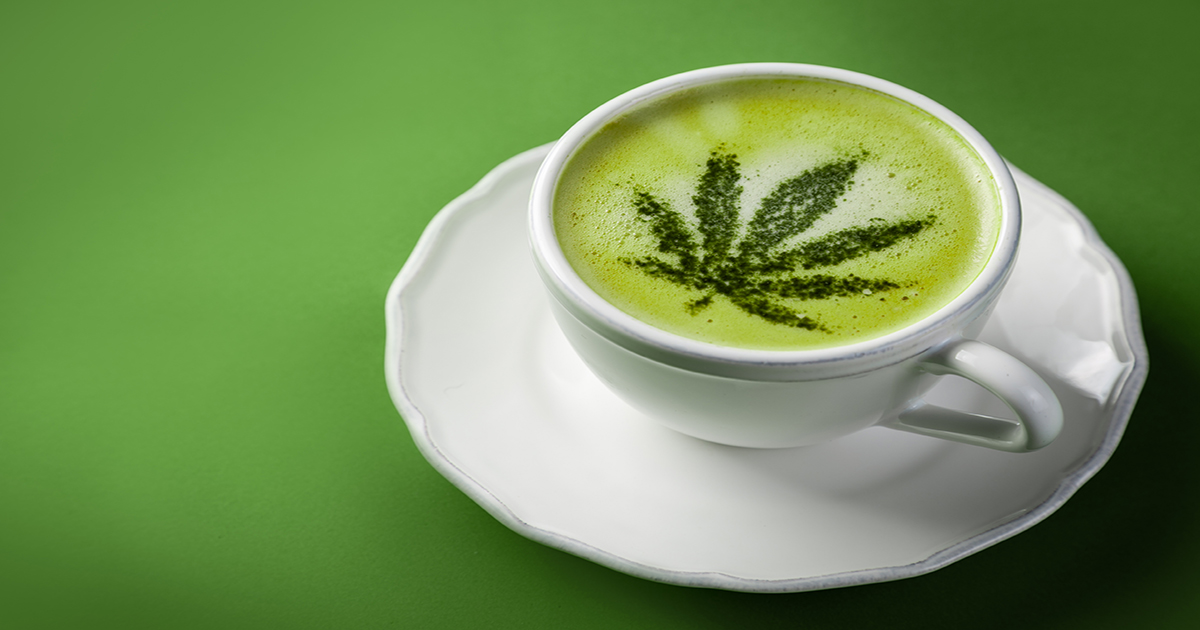 Cannabis leaf matcha tea on green background