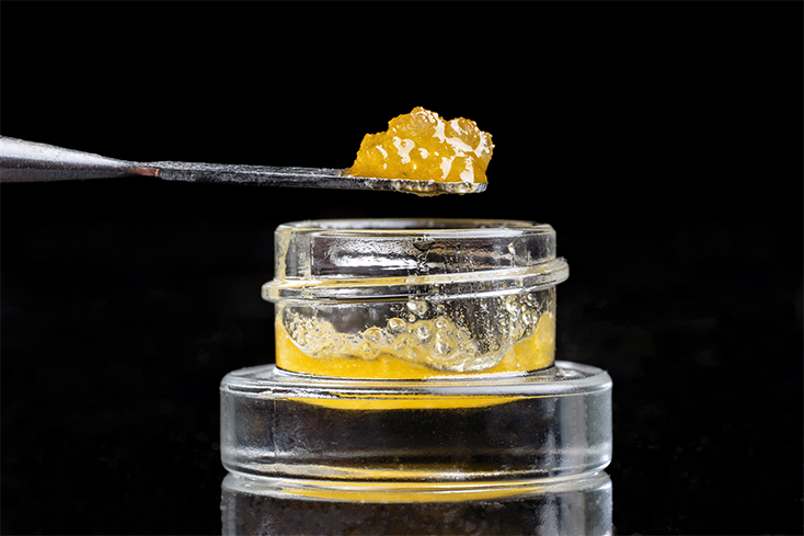 Honey Rose Live Resin