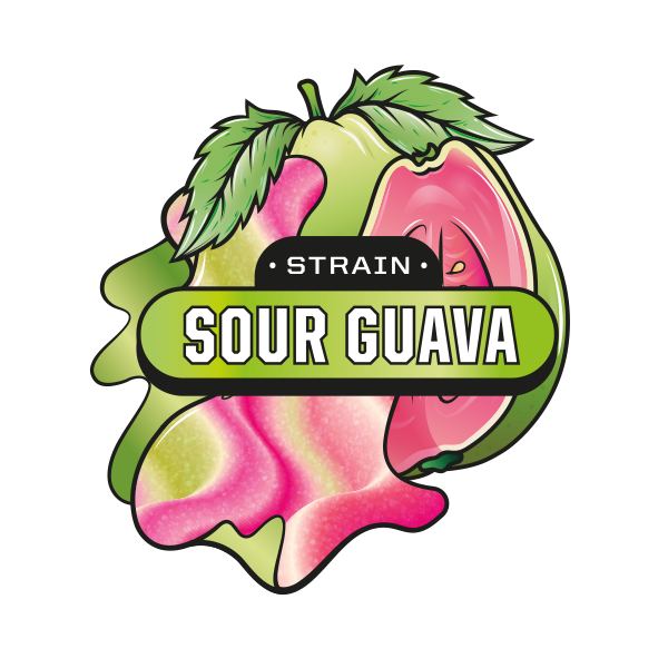 Sour Guava