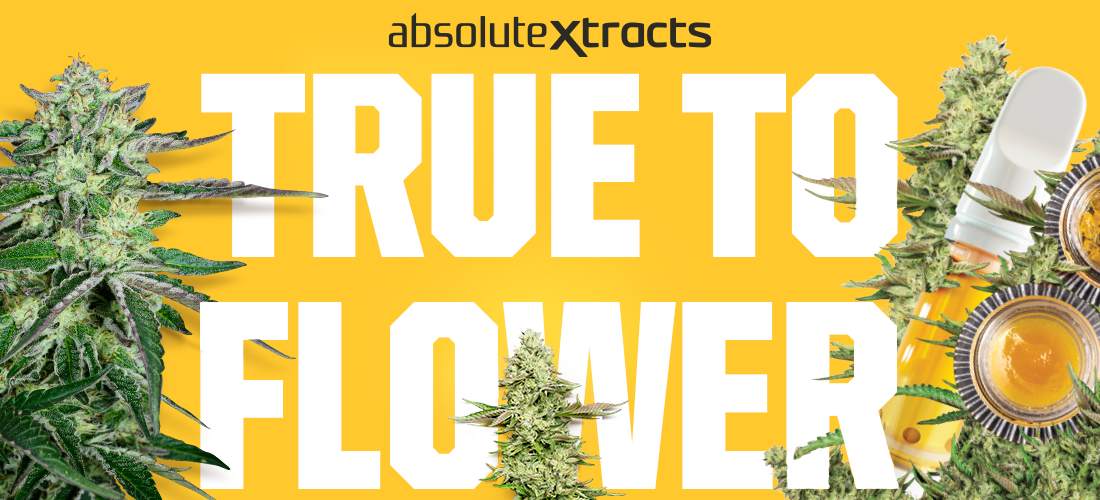 True to Flower