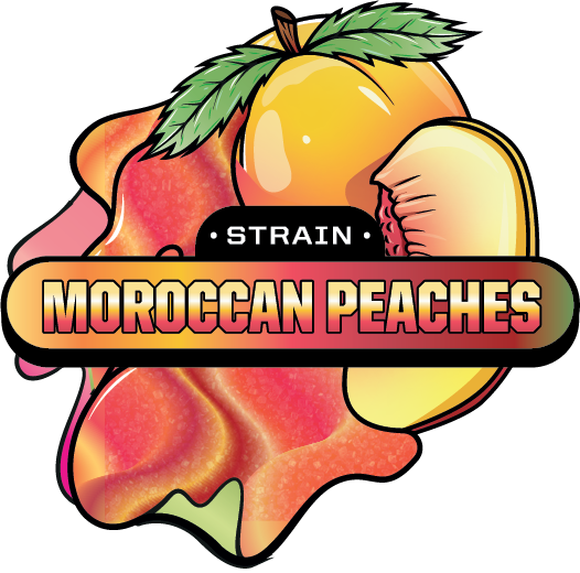 Moroccan Peaches