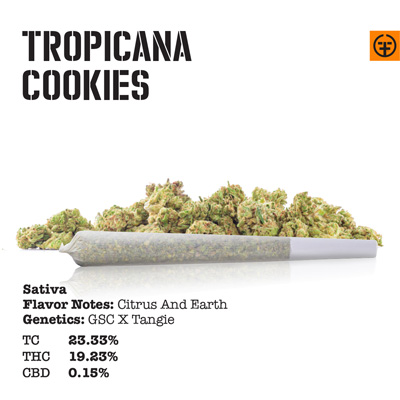 tropicana cookies