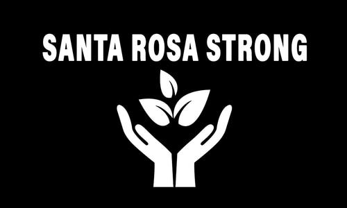 Illustration of hands holding a plant and the words Santa Rosa Strong