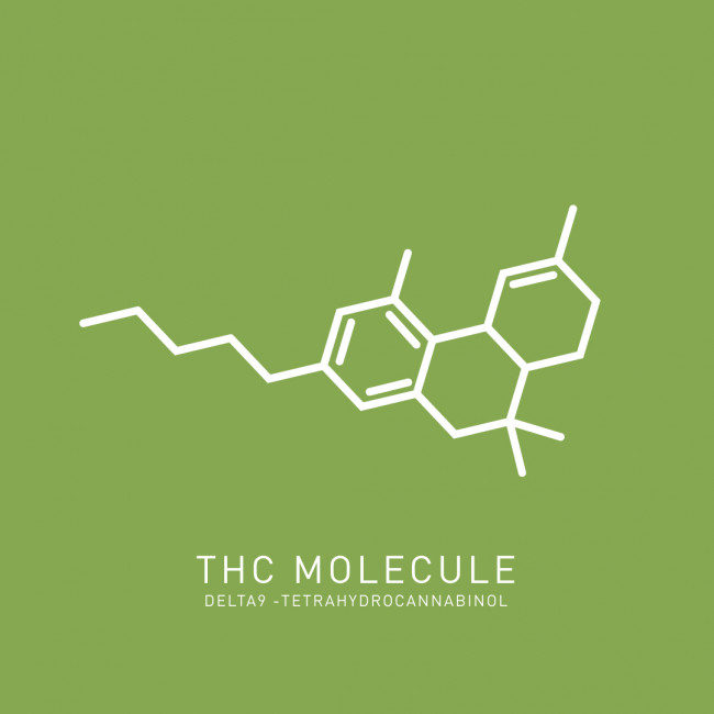 THC molecules