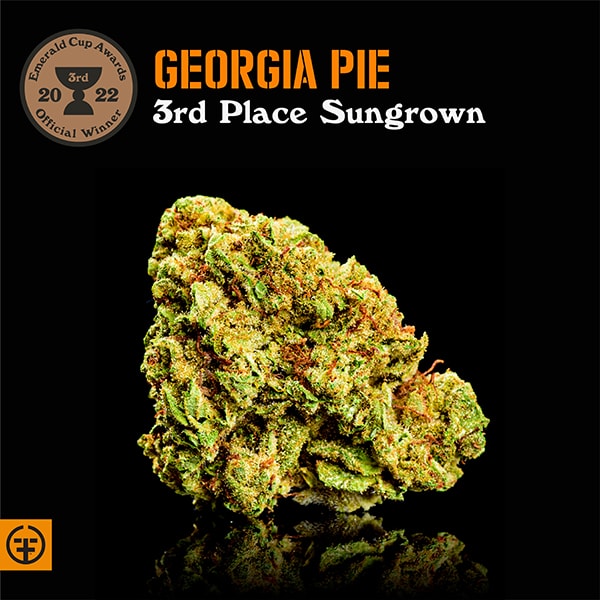 Georgia Pie