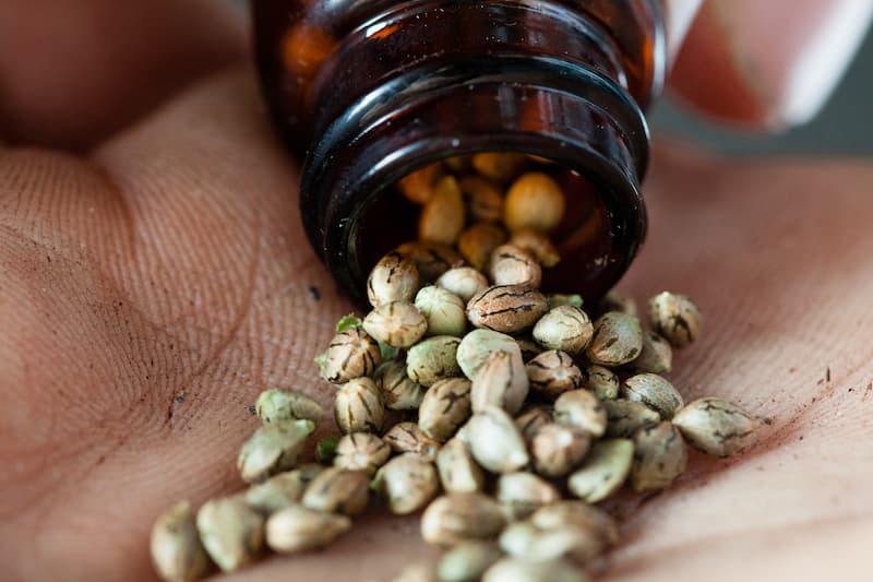 Photo of a man pour cannabis seeds from a brown bottle into his hand